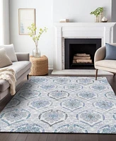 Addison Chantille Machine Washable Acn808 Area Rug Collection