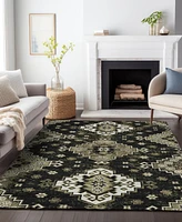 Addison Chantille Machine Washable ACN846 9'x12' Area Rug