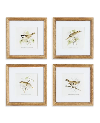 Perching Bird Study Petite Set of 4