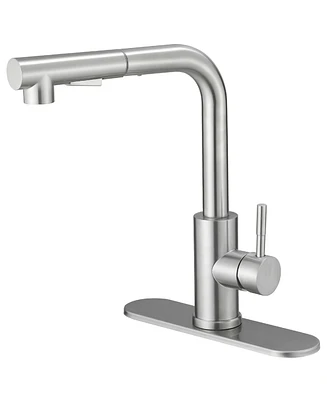 2 Sprayer Single Hole Single-Handle Pull Out Kitchen Faucet 360Swivel Spout