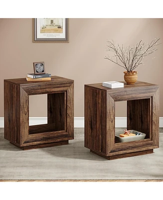 Tribesigns Rustic Wood End Table, 2 Tiered Square Side Table with Storage Shelf (2, Wood)