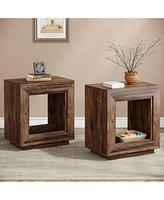 Tribesigns Rustic Wood End Table, 2 Tiered Square Side Table with Storage Shelf (2, Wood)