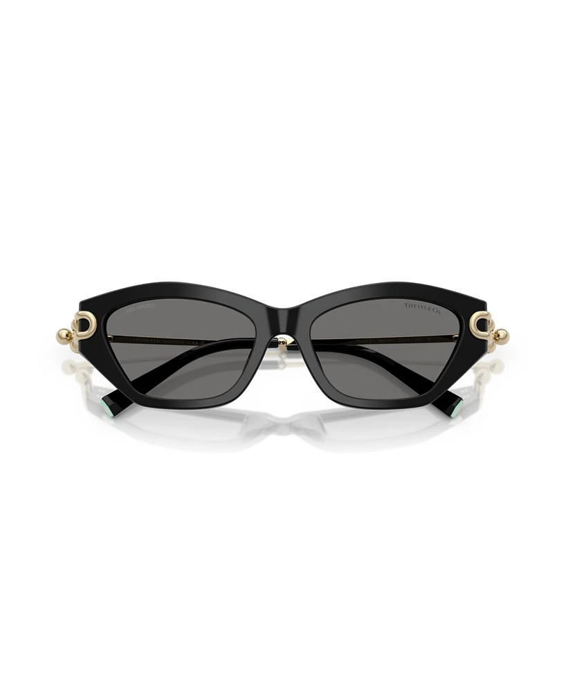 Tiffany & Co. Women's Polarized Sunglasses