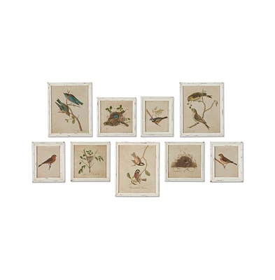 Framed Aviary Bird & Nest Habitat Prints Set of 9