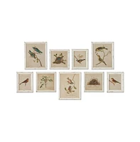 Framed Aviary Bird & Nest Habitat Prints Set of 9