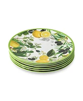 Certified International Limone Melamine 6-Pc. Dinner Plates, Service For 6