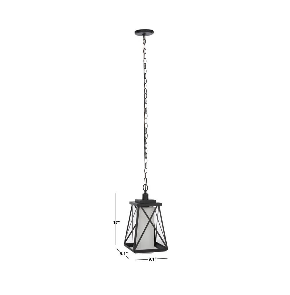 Braith 9.1" Outdoor Pendant