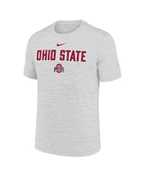 Nike Men's Ash Ohio State Buckeyes 2025 Sideline Velocity Performance T-Shirt