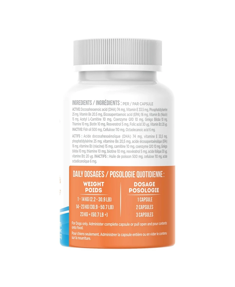 Ubavet Cognadin Memory & Brain Support for Senior Dogs – (90 ct)