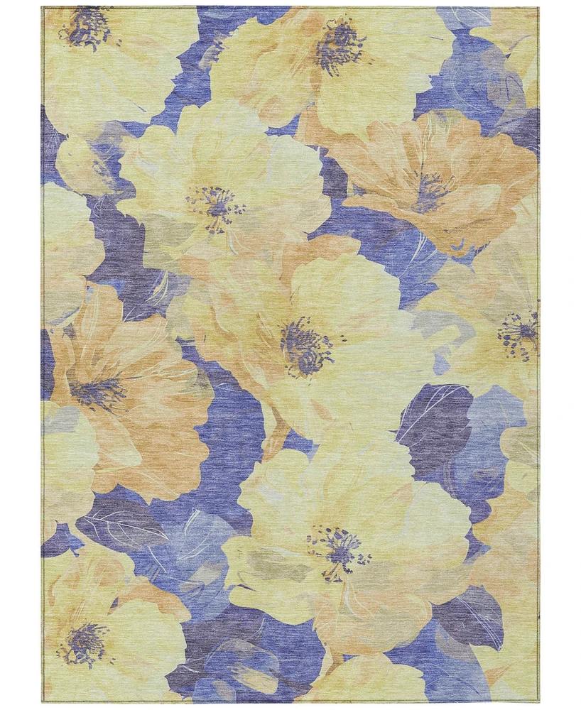 Addison Chantille Machine Washable ACN1548 2'6"x3'10" Area Rug