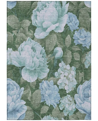 Addison Chantille Machine Washable ACN1566 3'x5' Area Rug