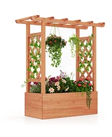 Raised Garden Bed Elevated Planter Box with Trellis and Hanging Roof