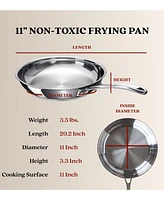 Alva Chef 11" Stainless Steel Frying Pan with Stay-Cool Handle & Induction Ready
