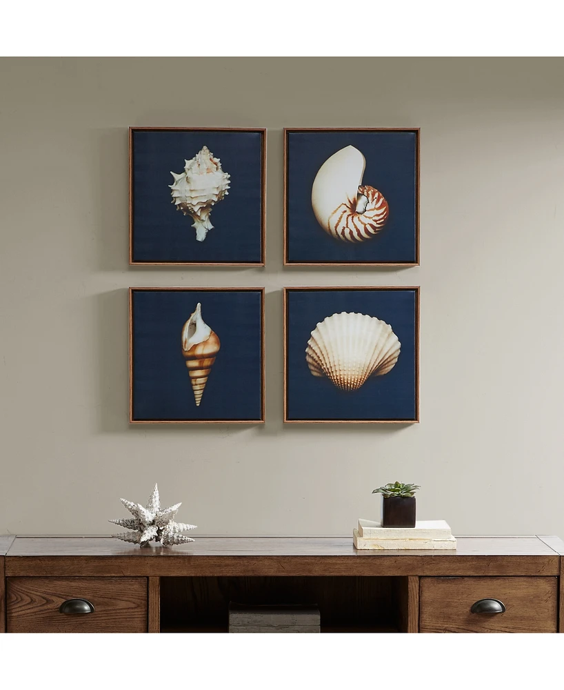 Madison Park Ocean Seashells 4-Pc. Framed Canvas Print Set
