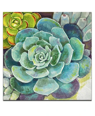 Ready2HangArt 'Botanical Bliss Ii' Floral Canvas Wall Art, 30x30"