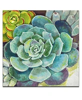 Ready2HangArt 'Botanical Bliss Ii' Floral Canvas Wall Art, 30x30"