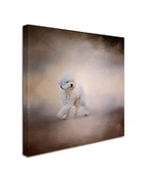 Jai Johnson 'Bichon On The Go' Canvas Art - 18" x 18" x 2"