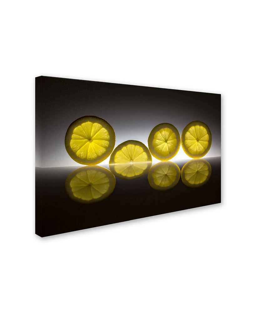 Wieteke de Kogel 'Lemon' Canvas Art - 32" x 22" x 2"