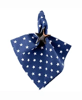 Patriot Stars Napkin Set of 6
