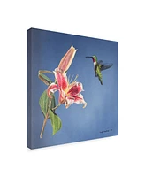 Rusty Frentner 'Hummingbird And Lily' Canvas Art - 14" x 14"