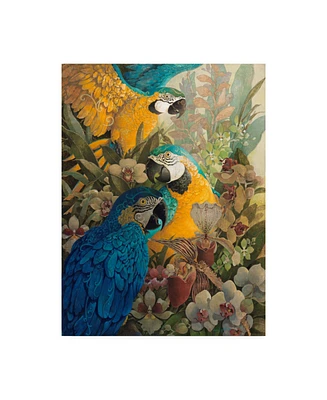 David Galchutt Amazon Canvas Art - 27" x 33.5"