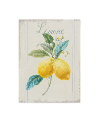 Danhui Nai Floursack Lemon Iii V2 Canvas Art - 20" x 25"