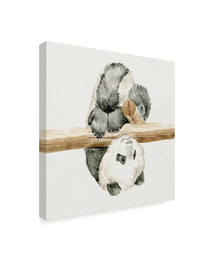 Melissa Wang Baby Panda Ii Canvas Art - 15" x 20"