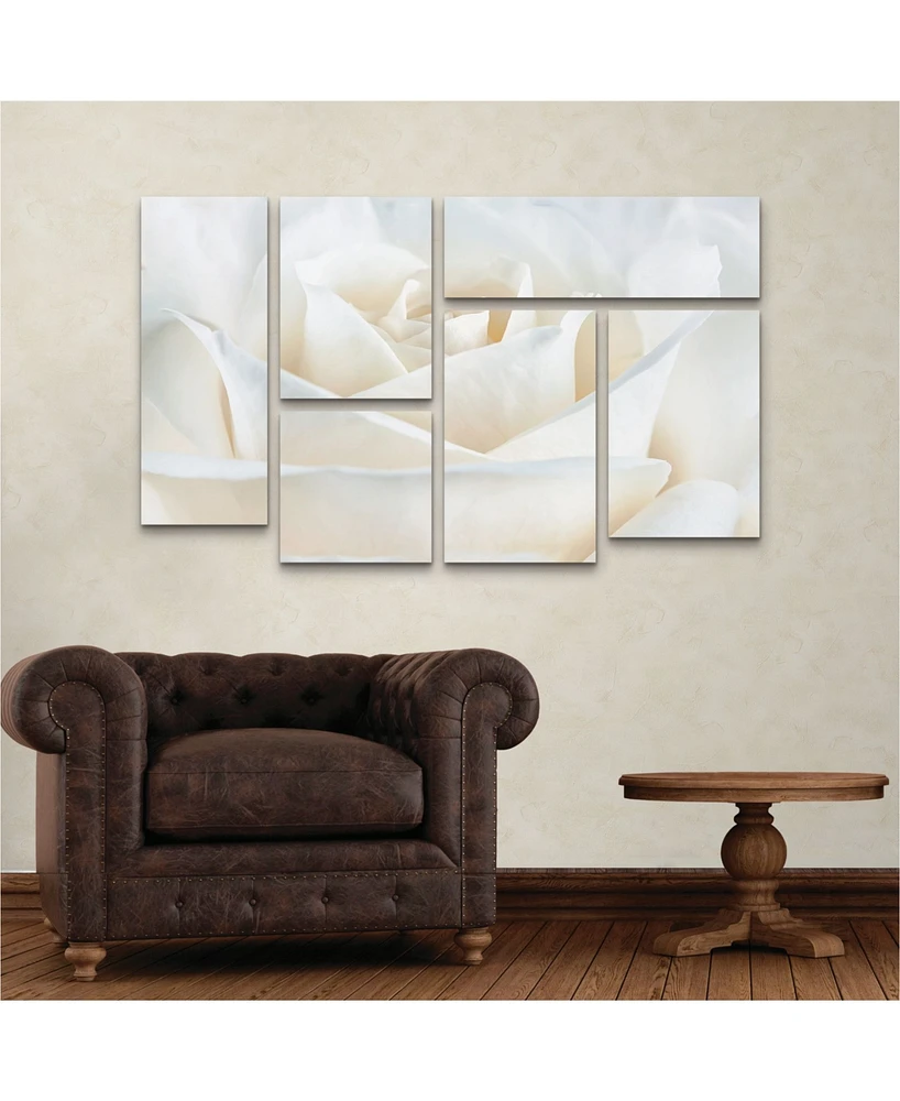 Cora Niele Pure White Rose Multi Panel Art Set 6 Piece - 49" x 19"