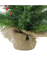 Northlight 24" Mixed Cashmere Berry Pine Artificial Christmas Tree - Unlit