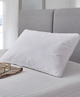 Blue Ridge White Goose Feather & Down 233 Thread Count 100% Cotton 2-Pack Pillow, Jumbo
