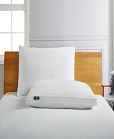 Serta White Goose Feather & Down Fiber Side Sleeper 2-Pack Pillow, Standard/Queen