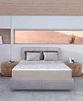 Dusk Dawn 12 Medium Plush Mattress In A Box Collection