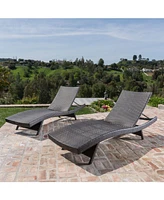 Noble House Thira Outdoor Mixed Mocha Chaise Lounge with Frame, Set of 2
