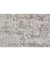 Feizy Cadiz R3892 Gray 6'6" x 9'6" Area Rug