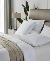 Martha Stewart Feather Firm 2-Pack Pillow, European