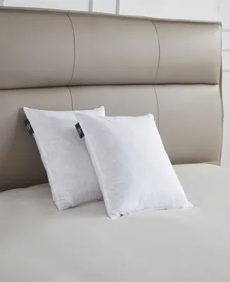 Serta Feather Filled 2-Pack Pillow Inserts, 20" x 20"