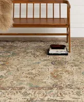 Closeout Karastan Estate Allerton Area Rug