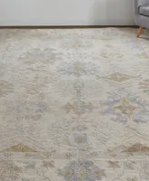 Feizy Wendover R6841 3'6" x 5'6" Area Rug