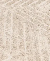 Mink Home Leisure Cove Lace 7'10" x 10'10" Area Rug