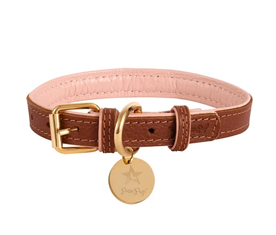 PoisePup Pet Dog Collar - Bella Rose