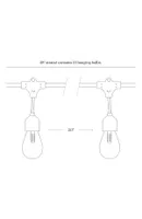 Ambience Pro Heavy Duty Solar-Powered Led Outdoor String Lights with 15 Hooks (48 ft.)