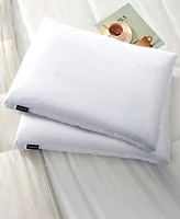 Beautyrest 2" Gussted Feather & Down Medium/Firm 2-Pack Pillow, King
