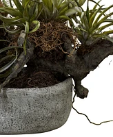 Nearly Natural Orchid and Succulent Garden w/ Driftwood and Decorative Vase