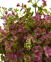 Nearly Natural 13" Sedum and Eucalyptus Plant w/ Planter