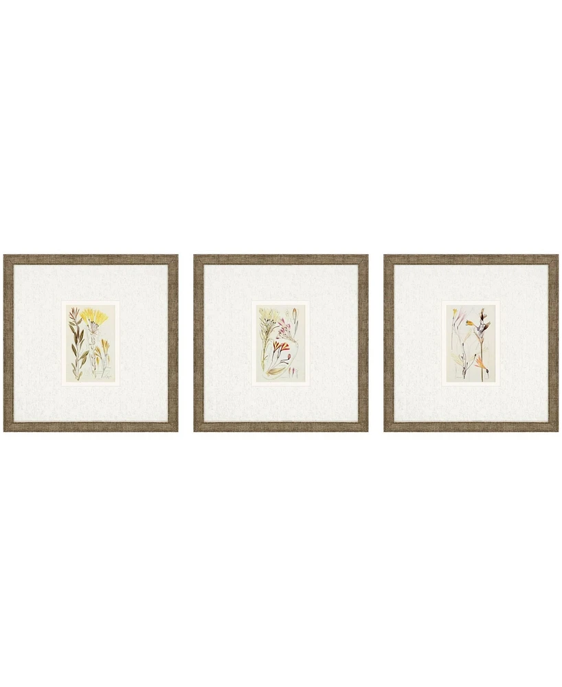 Antique-Like Botanical Ii Framed Art, Set of 3
