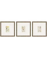 Antique-Like Botanical Ii Framed Art, Set of 3