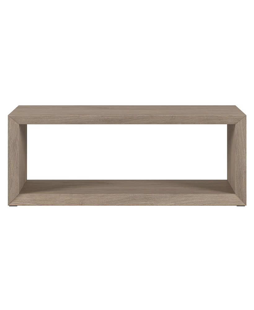 Hudson & Canal Osmond 48" Wide Rectangular Coffee Table