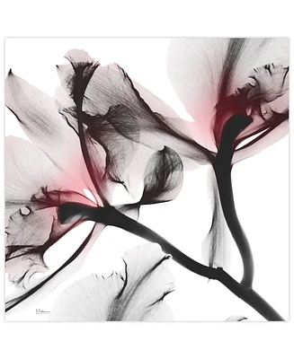 Empire Art Direct "Coral Luster 2" Frameless Free Floating Tempered Glass Panel Graphic Wall Art, 24" x 24" x 0.2"