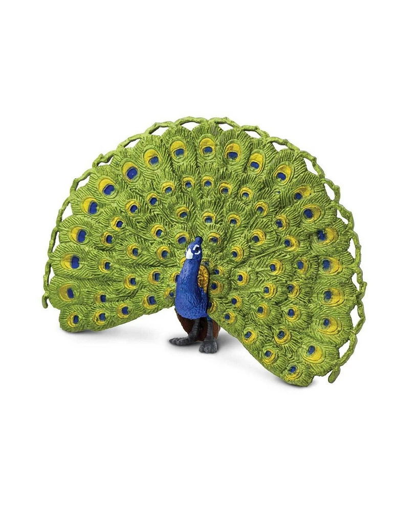 Peacock Wings Of The World Birds Figure Safari Ltd