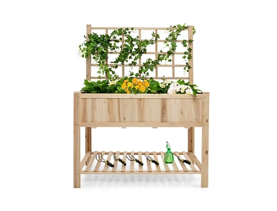 Raised Garden Bed Elevated Wooden Planter Box with Trellis